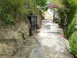 Vista 5