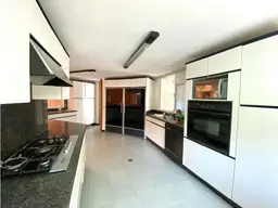 Vista 19