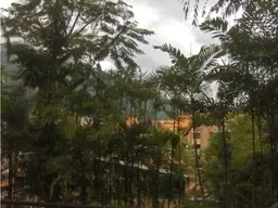 Vista 17