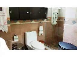 Vista 17
