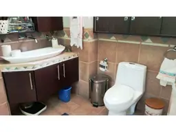 Vista 19