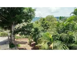 Vista 10