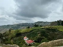 View 1