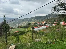 View 14
