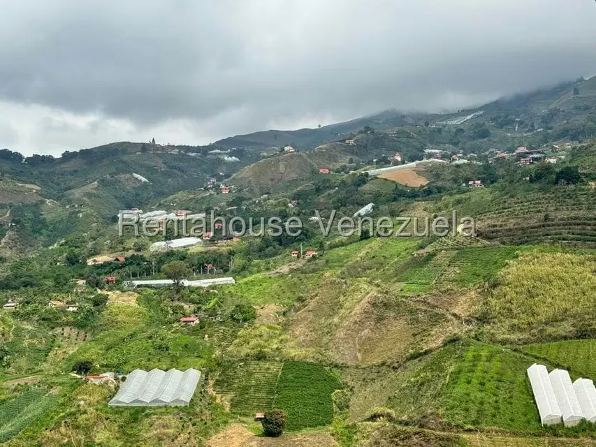 Terreno (Finca) en Venta en El Jarillo, Miranda - 16