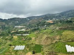 View 16