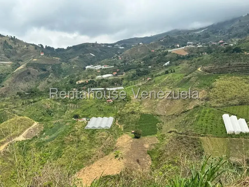 Terreno (Finca) en Venta en El Jarillo, Miranda - 17