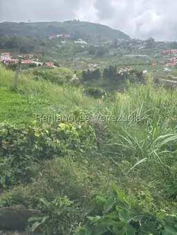 View 19