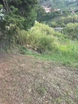 View 21