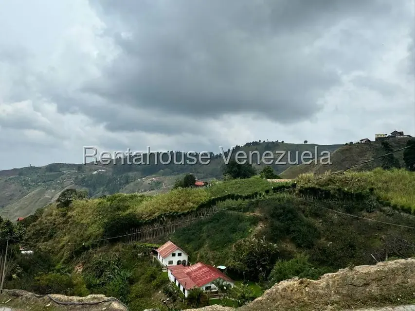 Terreno (Finca) en Venta en El Jarillo, Miranda - 3