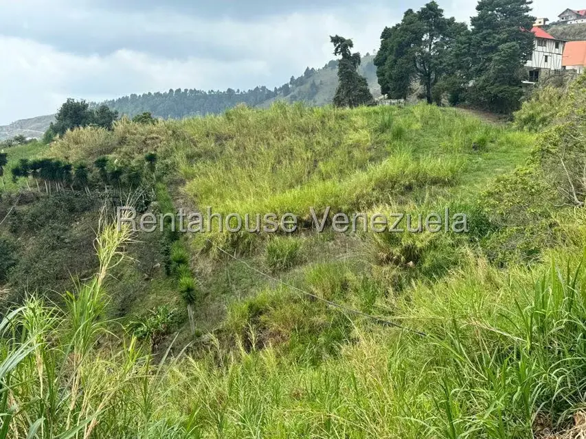 Terreno (Finca) en Venta en El Jarillo, Miranda - 4