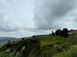 View 5