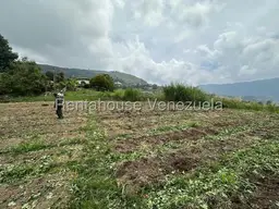 View 6