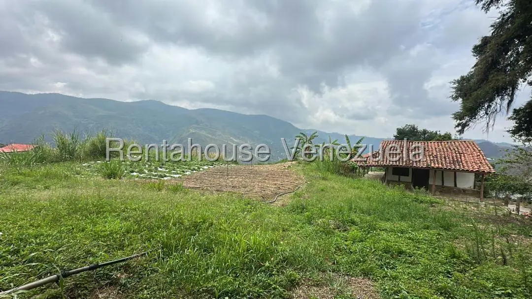 Terreno (Finca) en Venta en El Jarillo, Miranda - 7