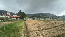 View 10