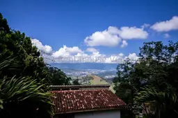 Vista 40
