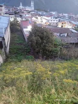Vista 3