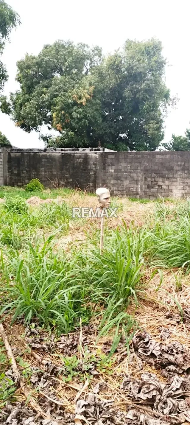 En venta terreno con BIENHECHURIAS . Acarigua estado portuguesa - 5