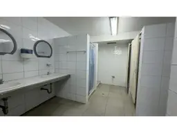 Vista 19