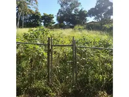 Vista 3