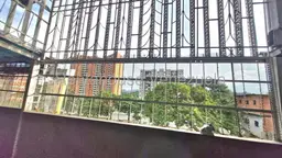 View 32