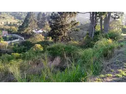 View 1