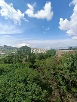 Vista 1