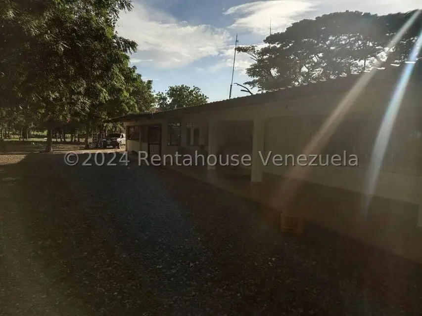 Negocios y Empresas (Alimentos y Bebidas) en Venta en Sector Carrizal, Guarico - 12