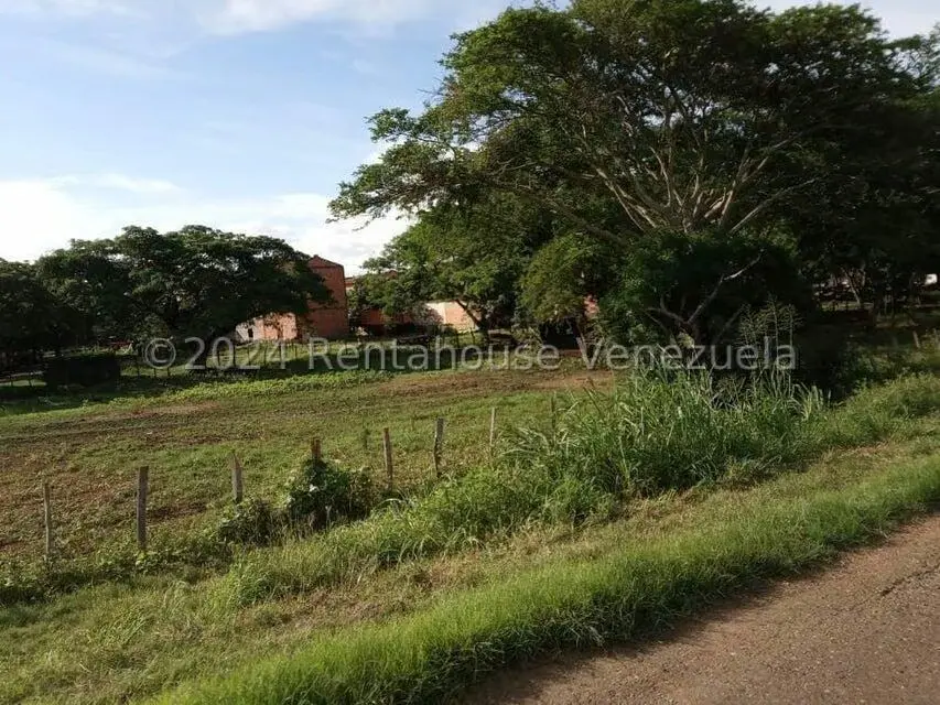 Negocios y Empresas (Alimentos y Bebidas) en Venta en Sector Carrizal, Guarico - 2