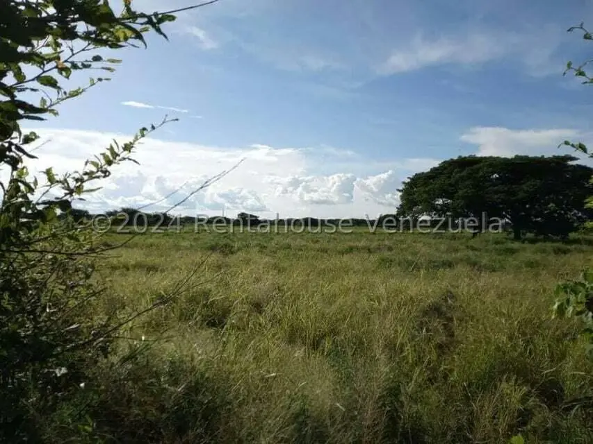 Negocios y Empresas (Alimentos y Bebidas) en Venta en Sector Carrizal, Guarico - 5