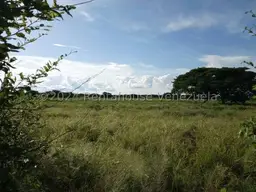 Vista 5
