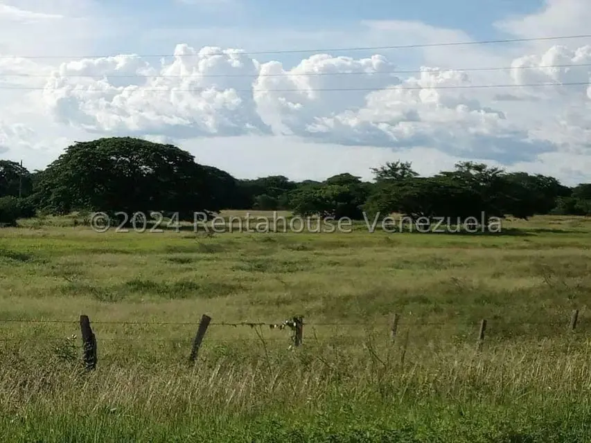 Negocios y Empresas (Alimentos y Bebidas) en Venta en Sector Carrizal, Guarico - 6