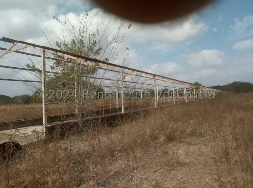 Negocios y Empresas (Alimentos y Bebidas) en Venta en Sector Carrizal, Guarico - 8