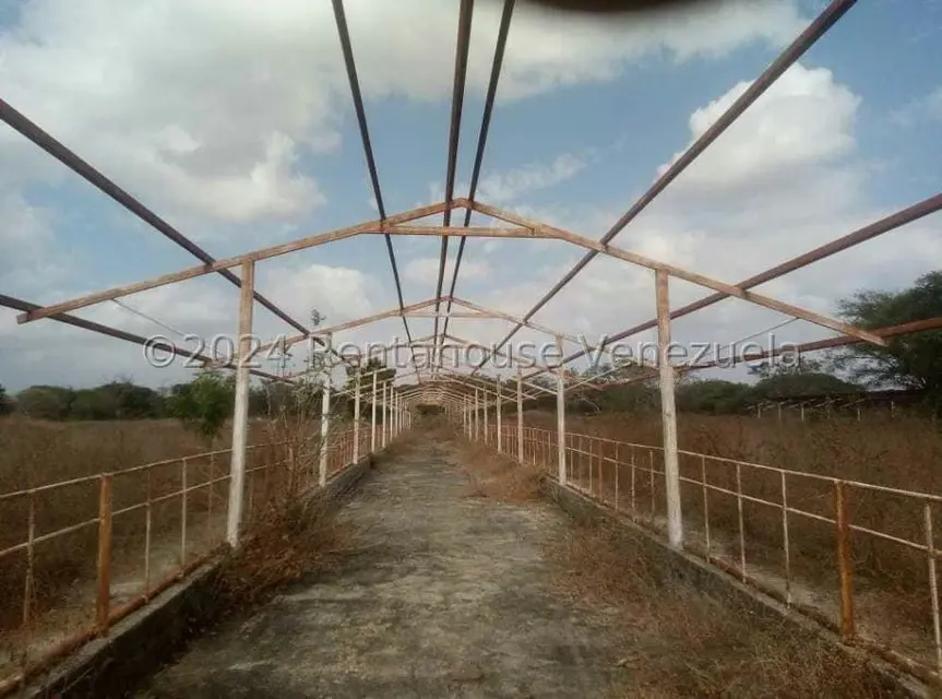 Negocios y Empresas (Alimentos y Bebidas) en Venta en Sector Carrizal, Guarico - 9
