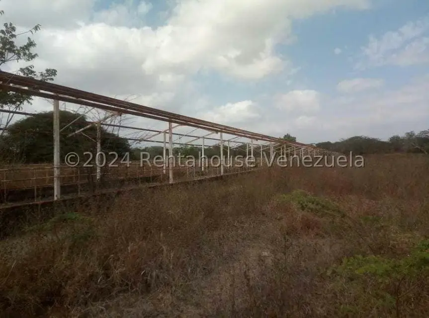 Negocios y Empresas (Alimentos y Bebidas) en Venta en Sector Carrizal, Guarico - 10