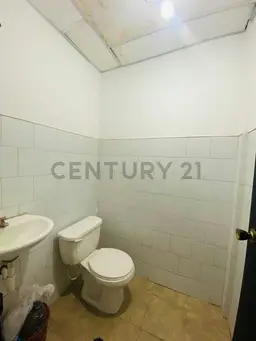 Vista 6