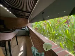 Vista 14