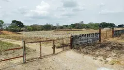 View 5