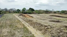 View 10