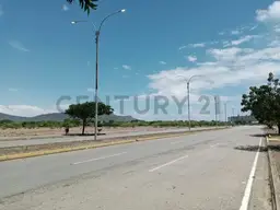 Vista 1