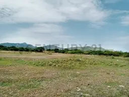 Vista 5