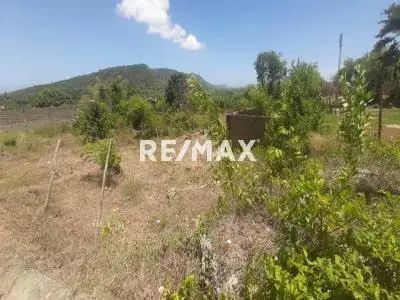 EN VENTA TERRENO DE 500 M2 CON BIENHECHURIA, EN EL SECTOR BUENA VISTA, SANARE.