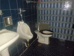 Vista 6