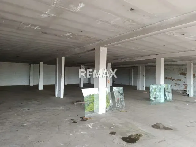 Local comercial en alquiler Sector los Estanques - 4