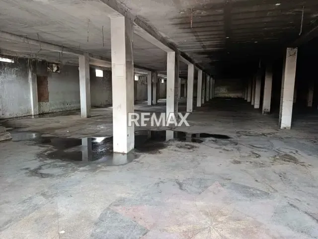 Local comercial en alquiler Sector los Estanques - 6