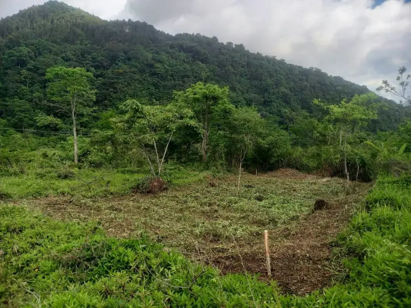Venta parcela en la rotaria Urba el Bosque
