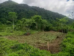 Vista 1