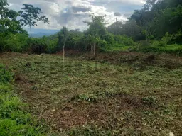 Vista 2