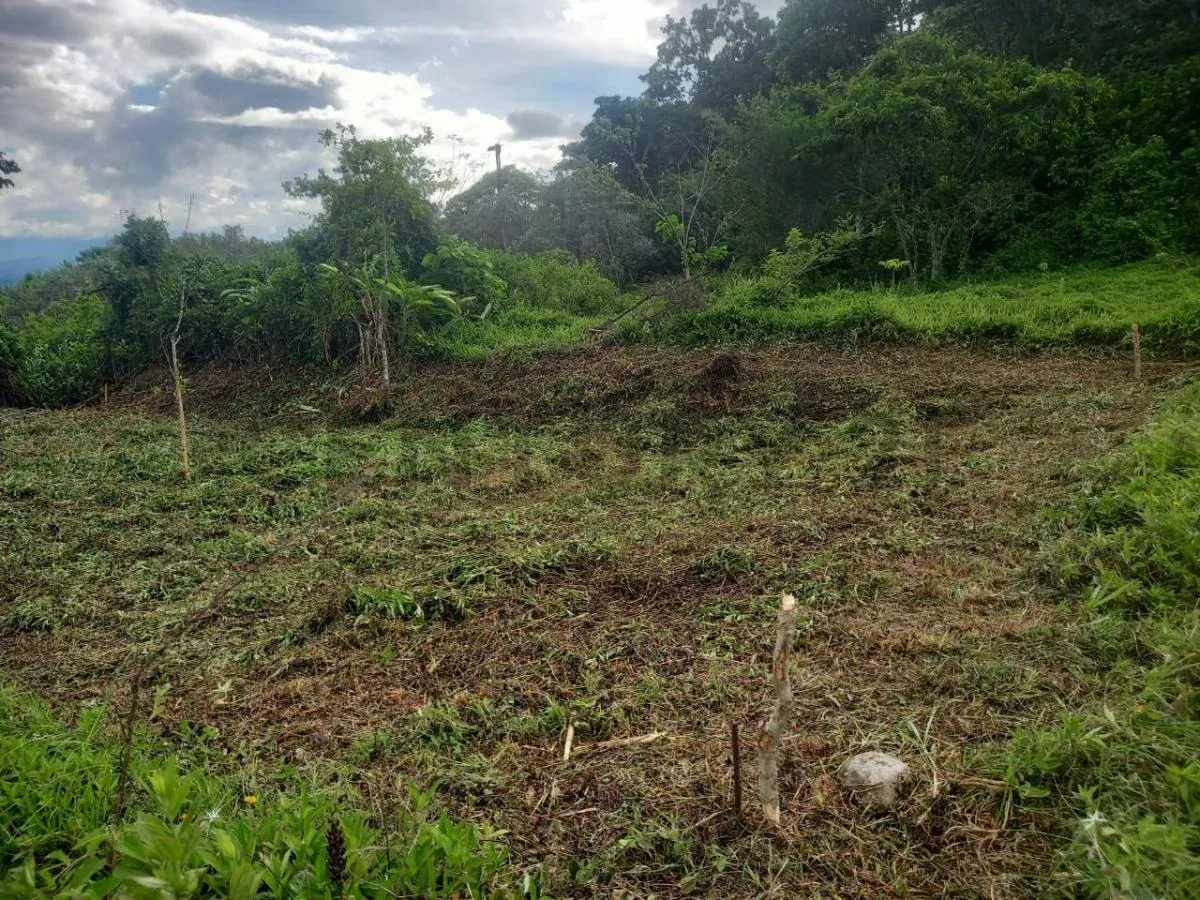 Venta parcela en la rotaria Urba el Bosque - 3