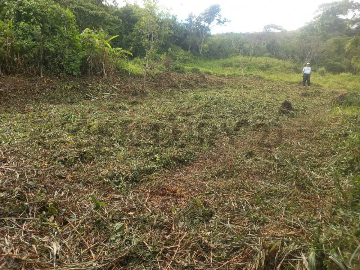 Venta parcela en la rotaria Urba el Bosque - 4